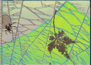 Sobre la insensibilidad