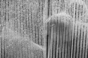 Tejer una resistencia. Sobre «Todo lo que tenías que hacer»