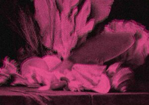 Y detrás las mujeres que se pepenan por el desierto