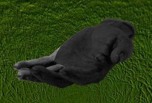 Algunos poemas del libro Carta de renuncia