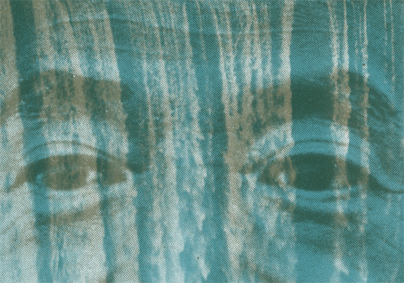 Las aguas indígenas en Chile