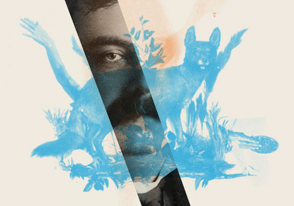 Texto, imagen, performance: poéticas en desplazamiento medial