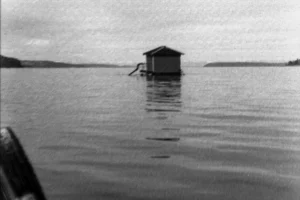 «Las islas de Chile», de David Nash