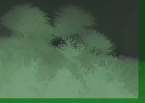 Materia dispersa y otros poemas