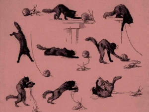Escribir para no perder: duelo, autobiografía y ética de la representación en «Ahora tengo un gato»