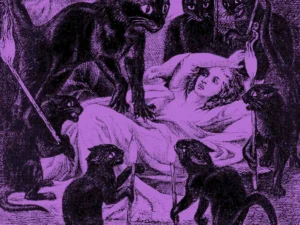 La monstruosidad en la literatura femenina: Adrienne Rich y una redención del pasado oprimido
