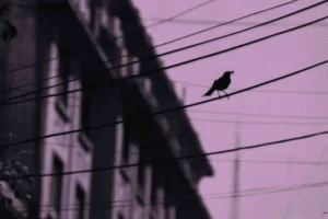 Gorriones y otros poemas