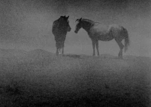 No hay caballos que cabalguen en este sueño y otros poemas